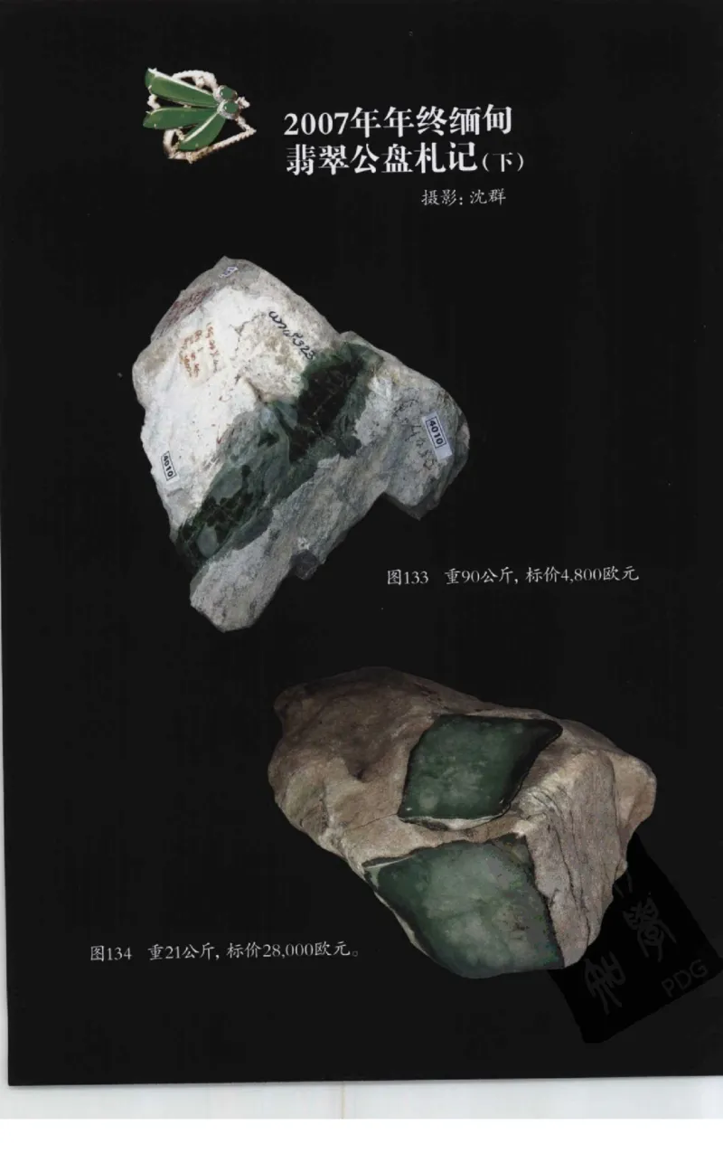 投资黑乌沙的...._X018-玉石珠宝鉴定教程最新合集_6、翡翠鉴定专题全套课程_翡翠电子书_翡翠鉴赏_41-50