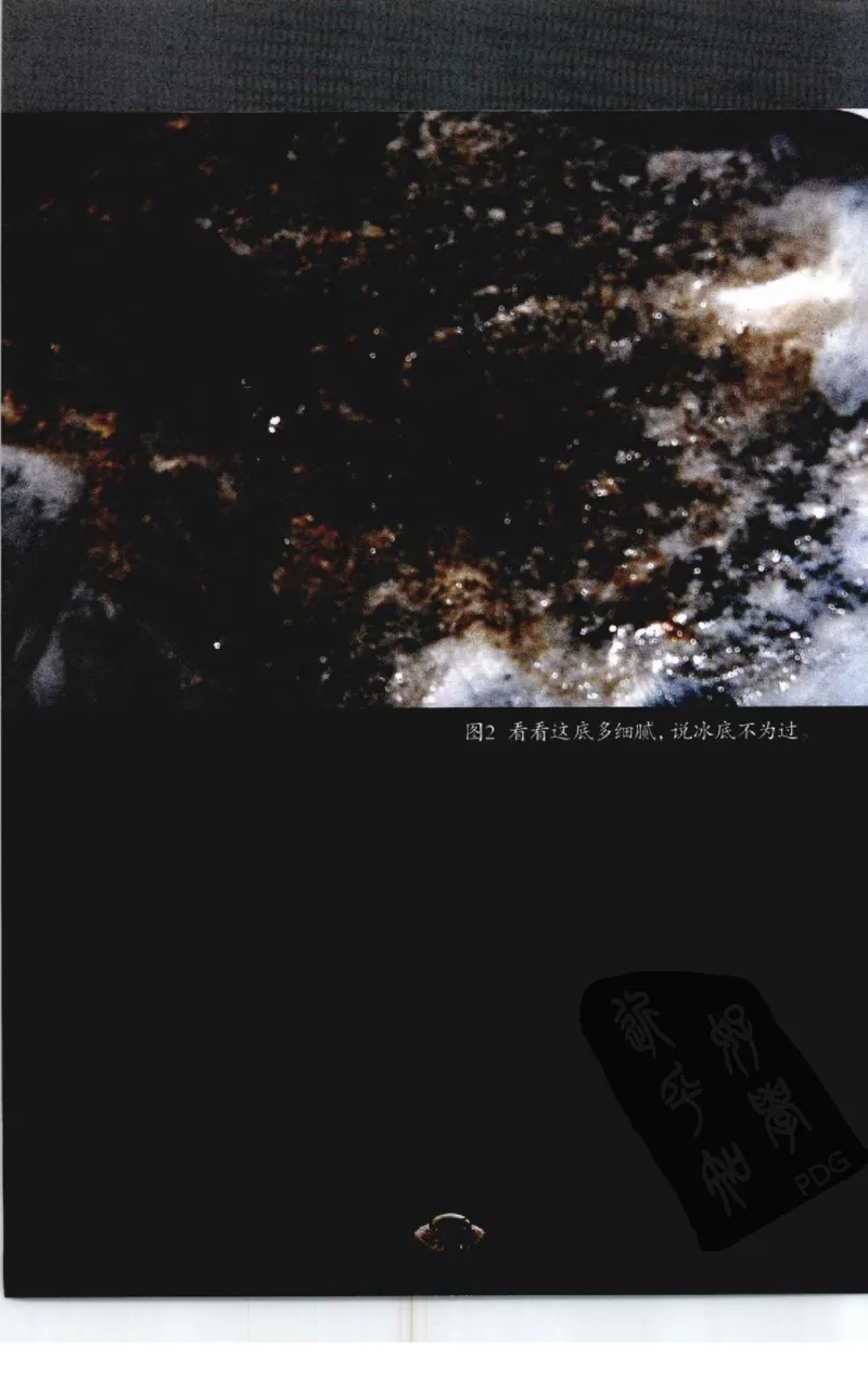 投资黑乌沙的...._X018-玉石珠宝鉴定教程最新合集_6、翡翠鉴定专题全套课程_翡翠电子书_翡翠鉴赏_41-50