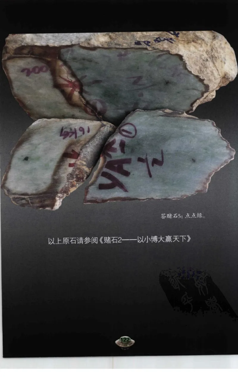 投资黑乌沙的...._X018-玉石珠宝鉴定教程最新合集_6、翡翠鉴定专题全套课程_翡翠电子书_翡翠鉴赏_41-50