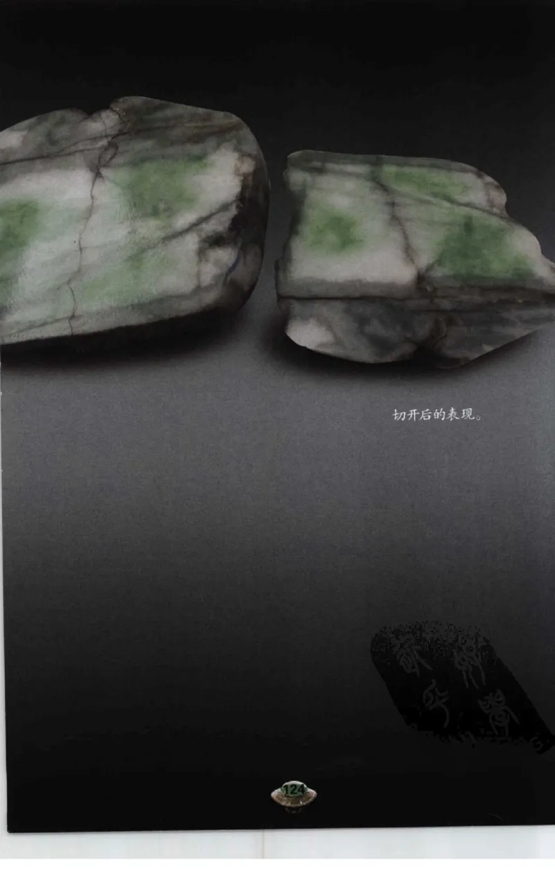 投资黑乌沙的...._X018-玉石珠宝鉴定教程最新合集_6、翡翠鉴定专题全套课程_翡翠电子书_翡翠鉴赏_41-50