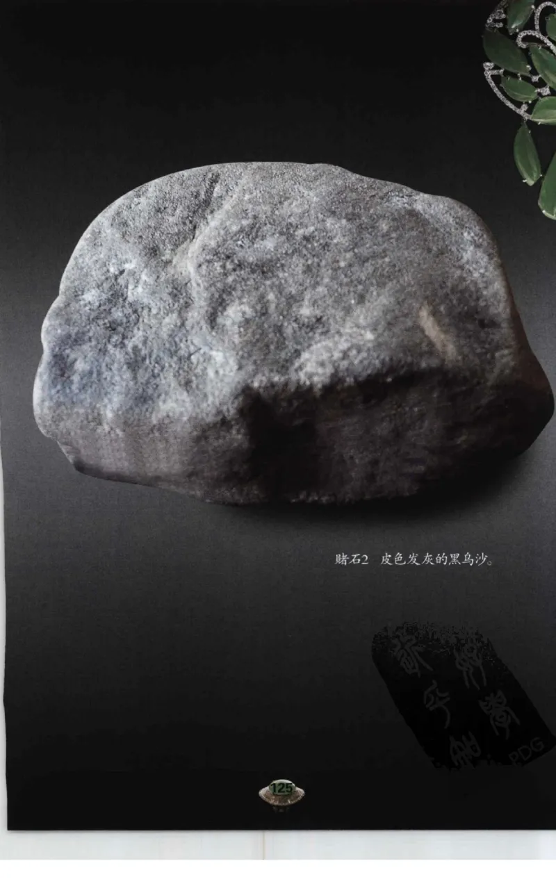 投资黑乌沙的...._X018-玉石珠宝鉴定教程最新合集_6、翡翠鉴定专题全套课程_翡翠电子书_翡翠鉴赏_41-50