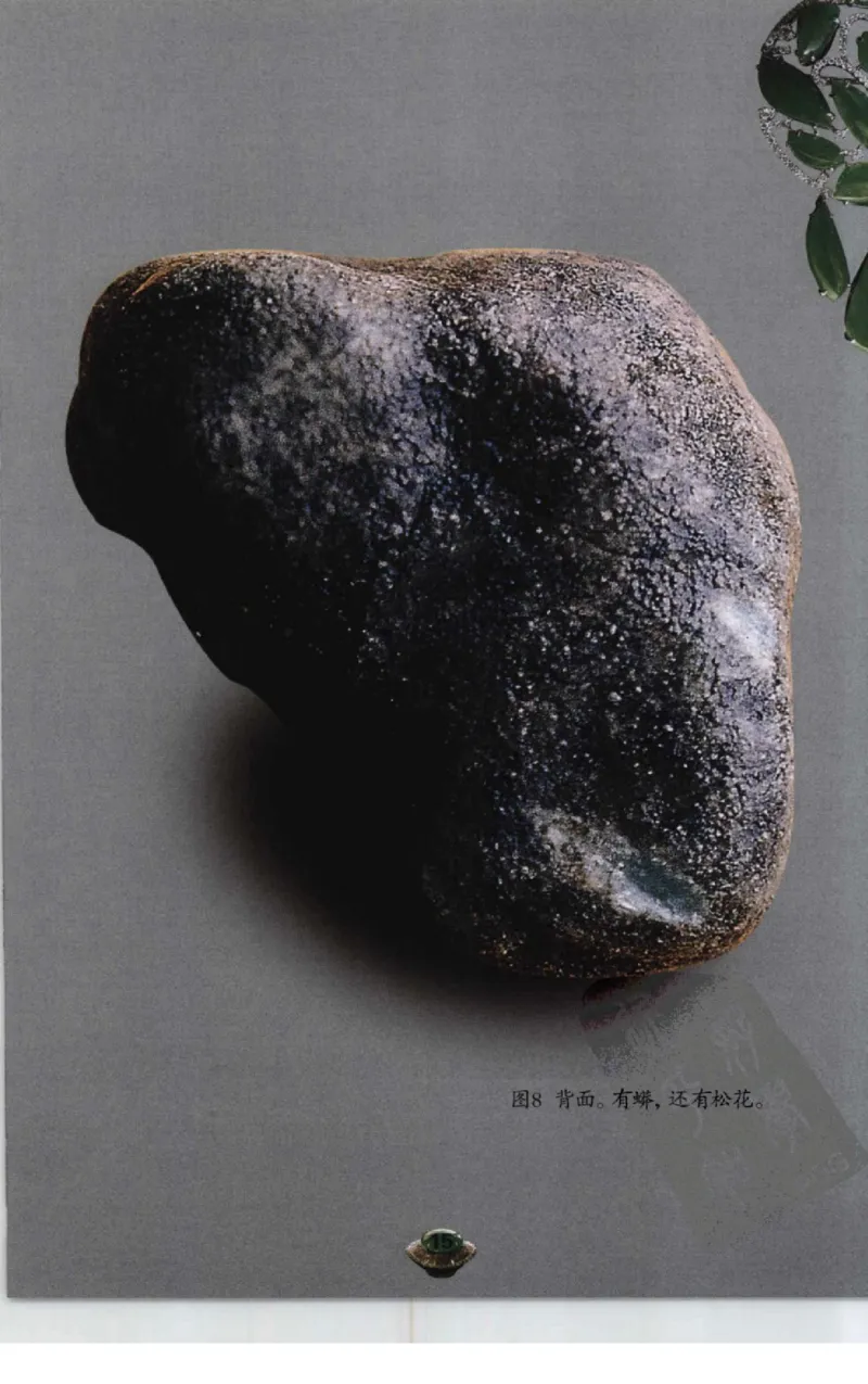 投资黑乌沙的...._X018-玉石珠宝鉴定教程最新合集_6、翡翠鉴定专题全套课程_翡翠电子书_翡翠鉴赏_41-50