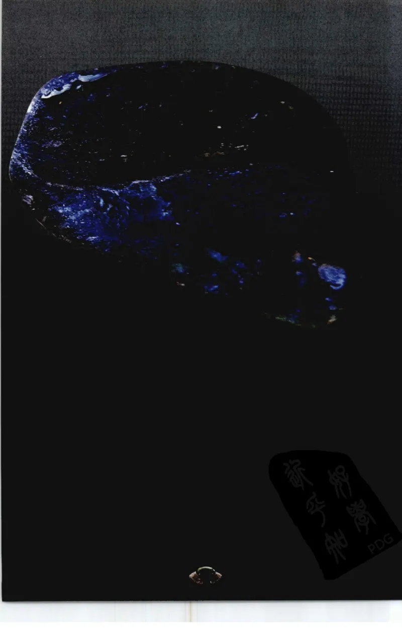 投资黑乌沙的...._X018-玉石珠宝鉴定教程最新合集_6、翡翠鉴定专题全套课程_翡翠电子书_翡翠鉴赏_41-50