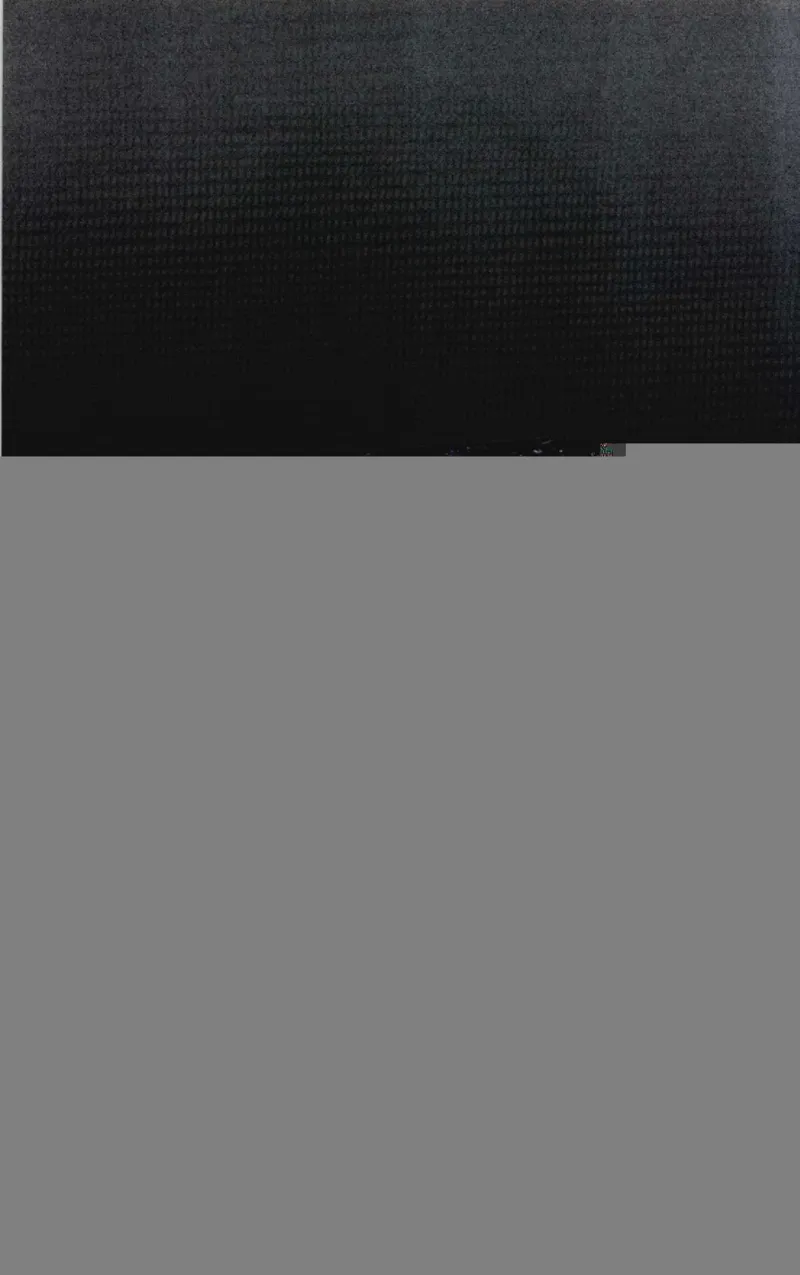 投资黑乌沙的...._X018-玉石珠宝鉴定教程最新合集_6、翡翠鉴定专题全套课程_翡翠电子书_翡翠鉴赏_41-50