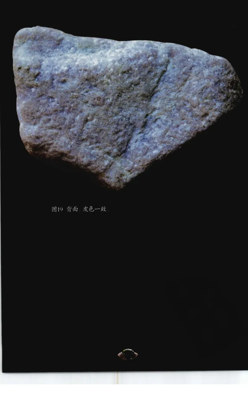 投资黑乌沙的...._X018-玉石珠宝鉴定教程最新合集_6、翡翠鉴定专题全套课程_翡翠电子书_翡翠鉴赏_41-50