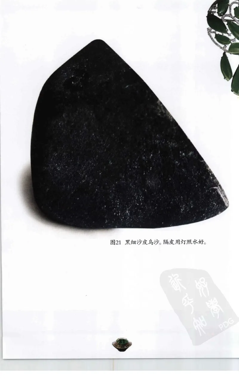 投资黑乌沙的...._X018-玉石珠宝鉴定教程最新合集_6、翡翠鉴定专题全套课程_翡翠电子书_翡翠鉴赏_41-50