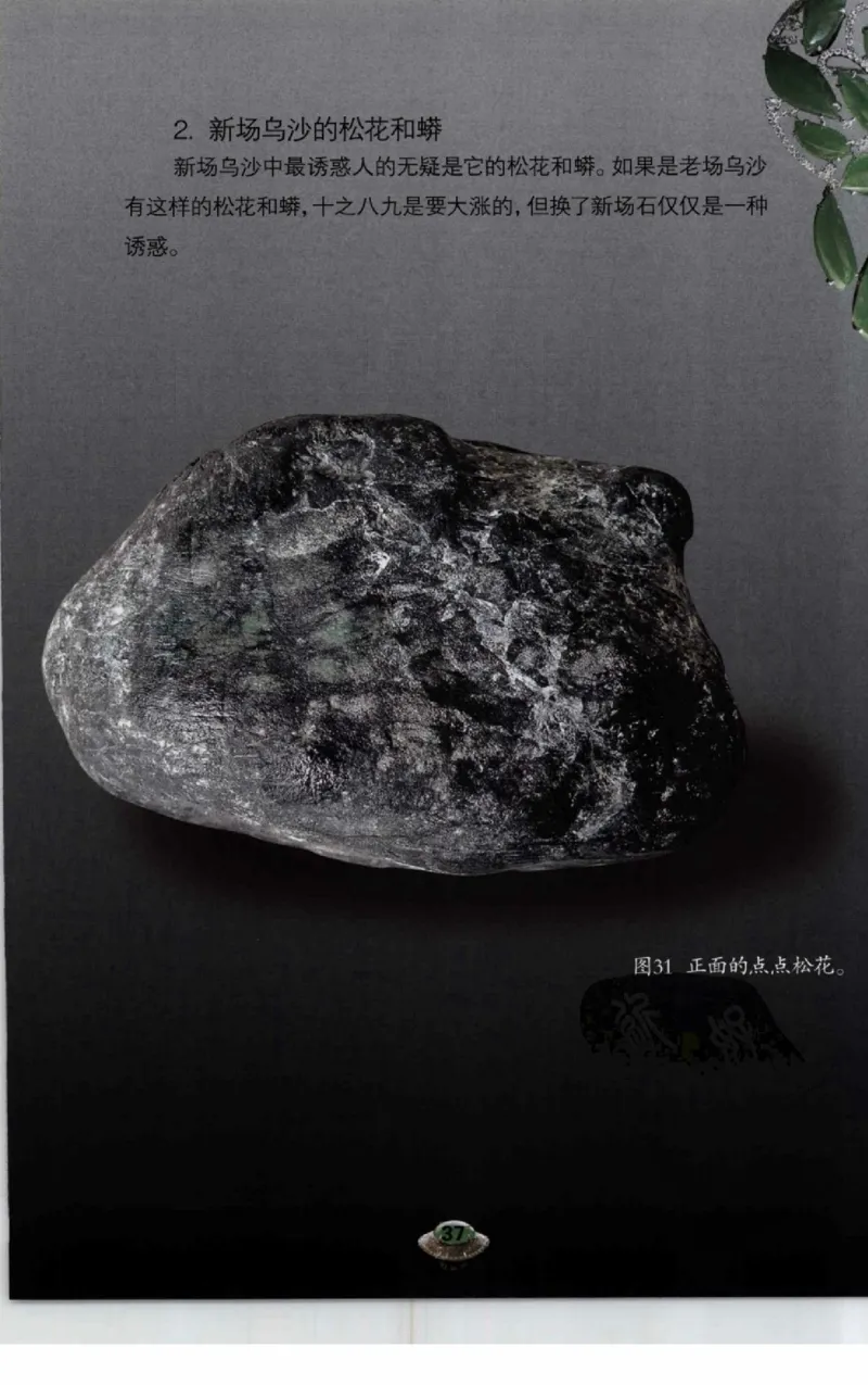 投资黑乌沙的...._X018-玉石珠宝鉴定教程最新合集_6、翡翠鉴定专题全套课程_翡翠电子书_翡翠鉴赏_41-50