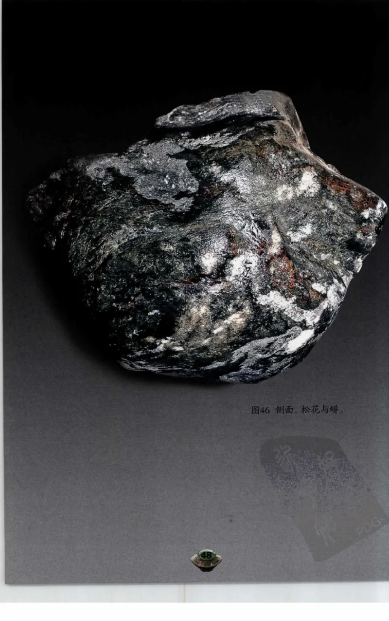 投资黑乌沙的...._X018-玉石珠宝鉴定教程最新合集_6、翡翠鉴定专题全套课程_翡翠电子书_翡翠鉴赏_41-50