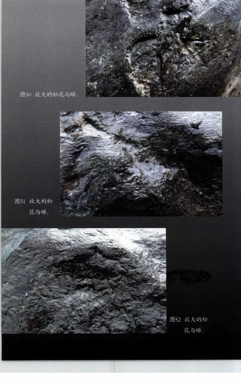 投资黑乌沙的...._X018-玉石珠宝鉴定教程最新合集_6、翡翠鉴定专题全套课程_翡翠电子书_翡翠鉴赏_41-50