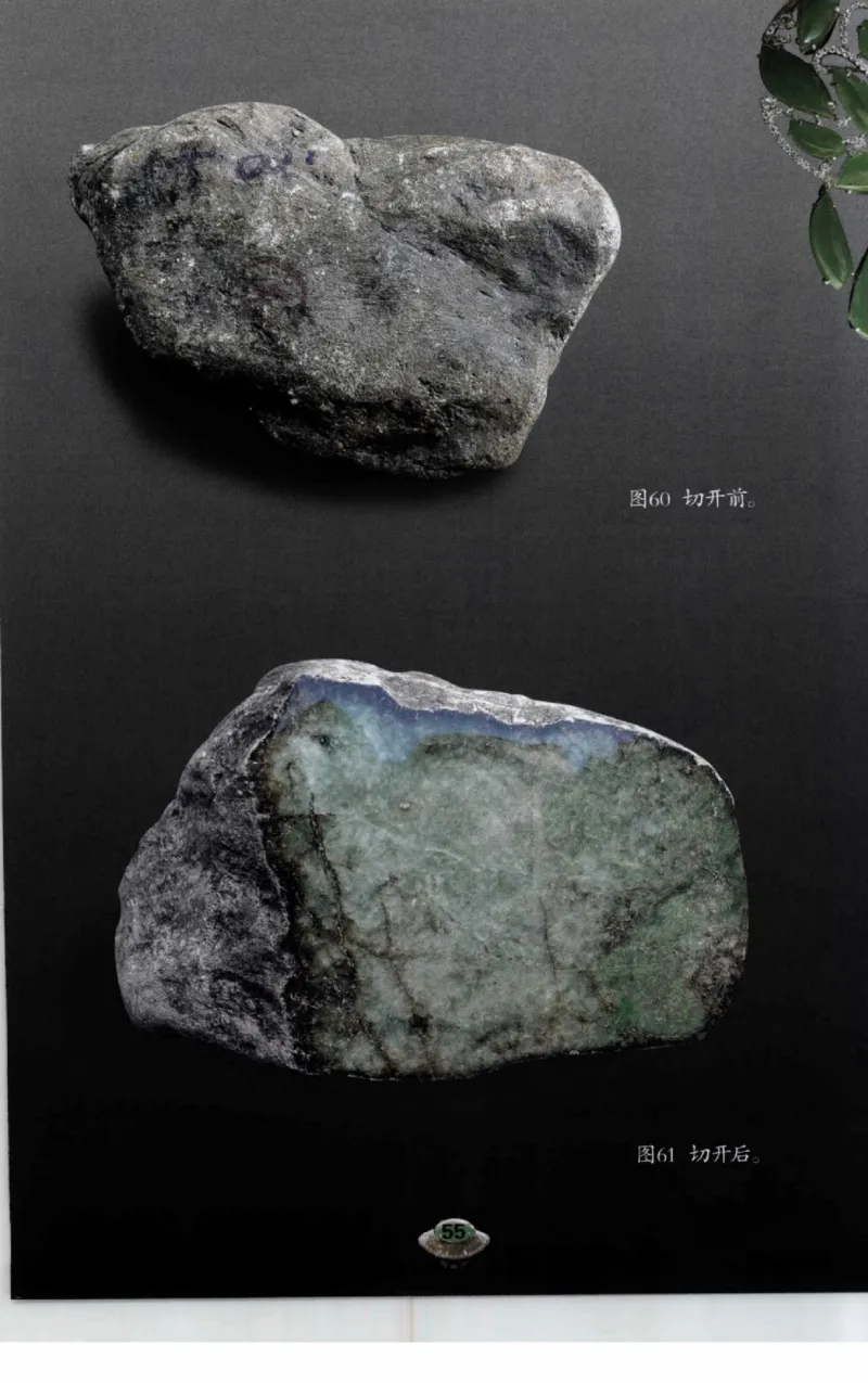 投资黑乌沙的...._X018-玉石珠宝鉴定教程最新合集_6、翡翠鉴定专题全套课程_翡翠电子书_翡翠鉴赏_41-50