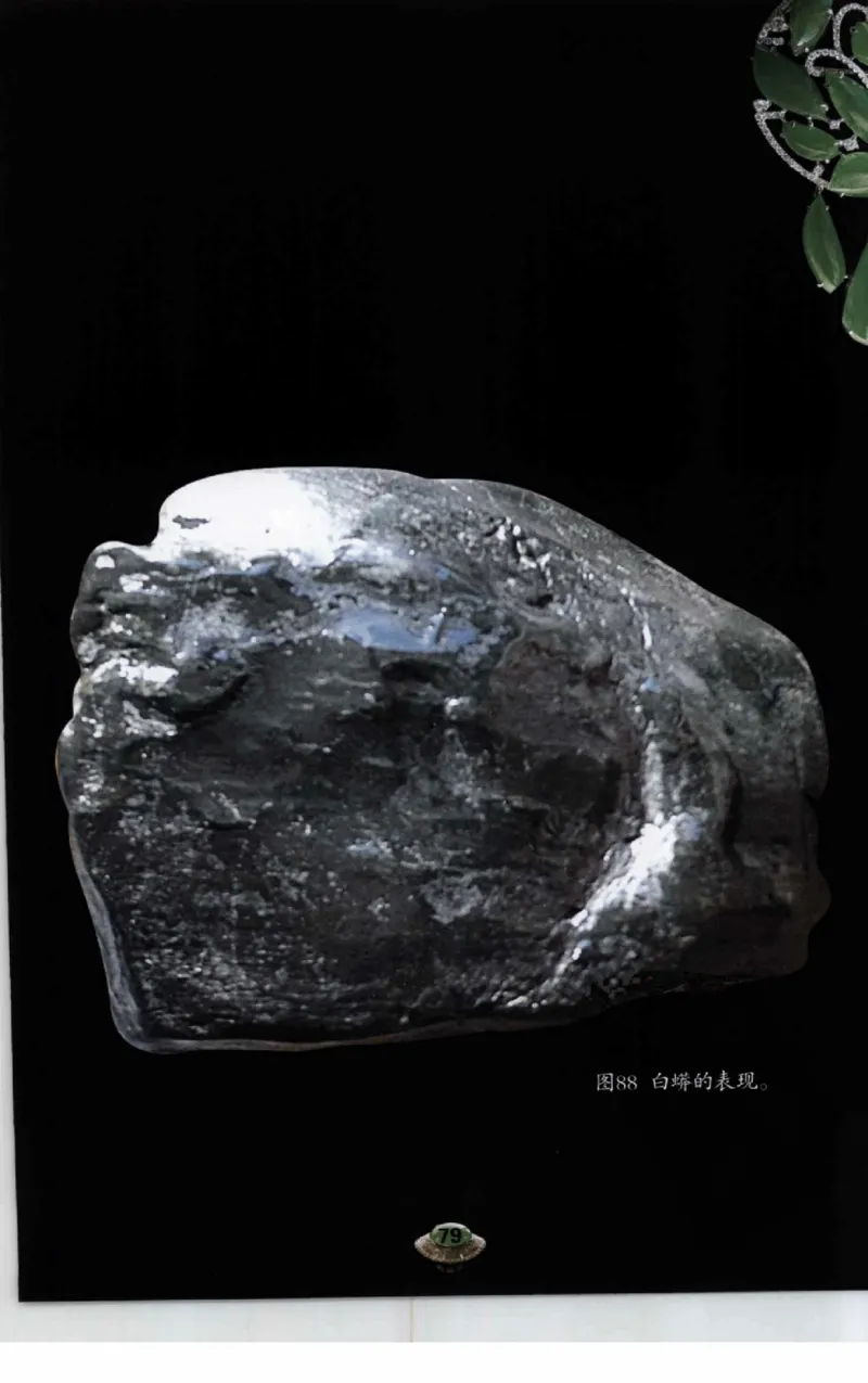 投资黑乌沙的...._X018-玉石珠宝鉴定教程最新合集_6、翡翠鉴定专题全套课程_翡翠电子书_翡翠鉴赏_41-50