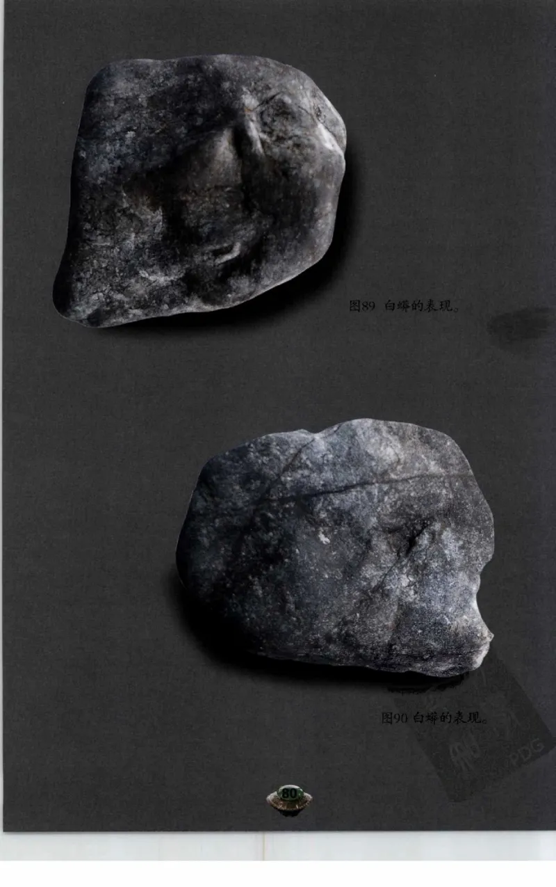 投资黑乌沙的...._X018-玉石珠宝鉴定教程最新合集_6、翡翠鉴定专题全套课程_翡翠电子书_翡翠鉴赏_41-50