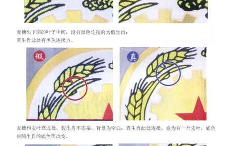 茅台生肖+精品+国宴鉴定_X017-奢侈品鉴定教程最新合集_5、寄卖行鉴定全套手册合集6套_名酒古酒鉴定资料