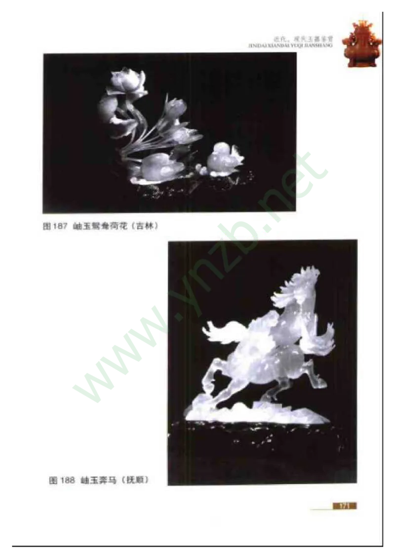 珠宝玉石鉴赏珍藏版_X018-玉石珠宝鉴定教程最新合集_5、玉石鉴定专题全套课程_玉石电子书_玉石电子书