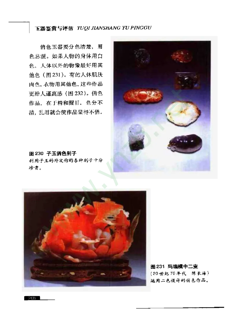 珠宝玉石鉴赏珍藏版_X018-玉石珠宝鉴定教程最新合集_5、玉石鉴定专题全套课程_玉石电子书_玉石电子书
