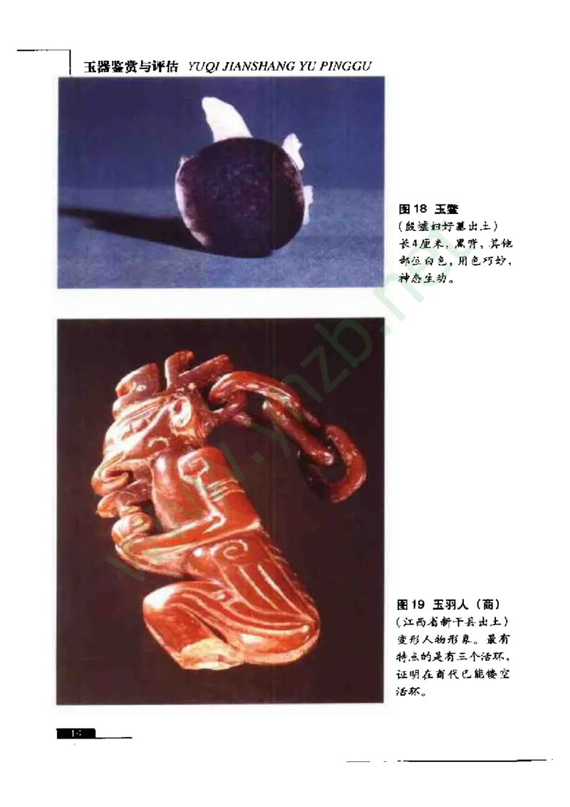 珠宝玉石鉴赏珍藏版_X018-玉石珠宝鉴定教程最新合集_5、玉石鉴定专题全套课程_玉石电子书_玉石电子书