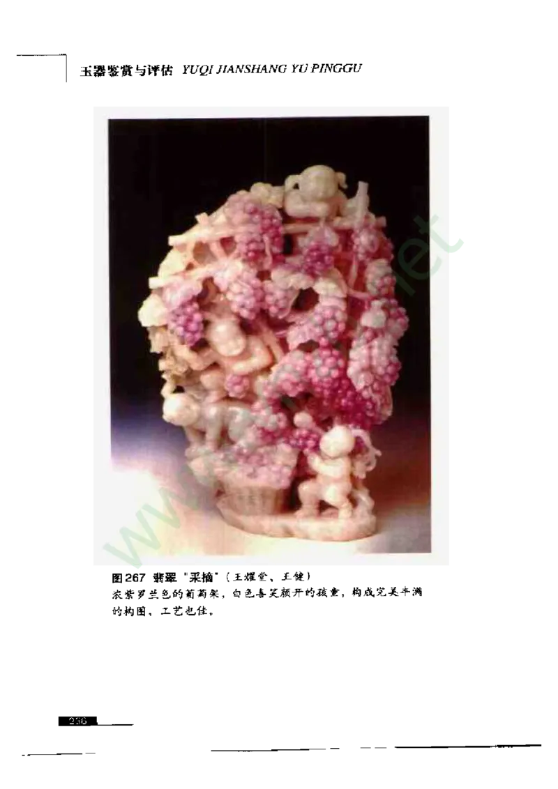 珠宝玉石鉴赏珍藏版_X018-玉石珠宝鉴定教程最新合集_5、玉石鉴定专题全套课程_玉石电子书_玉石电子书