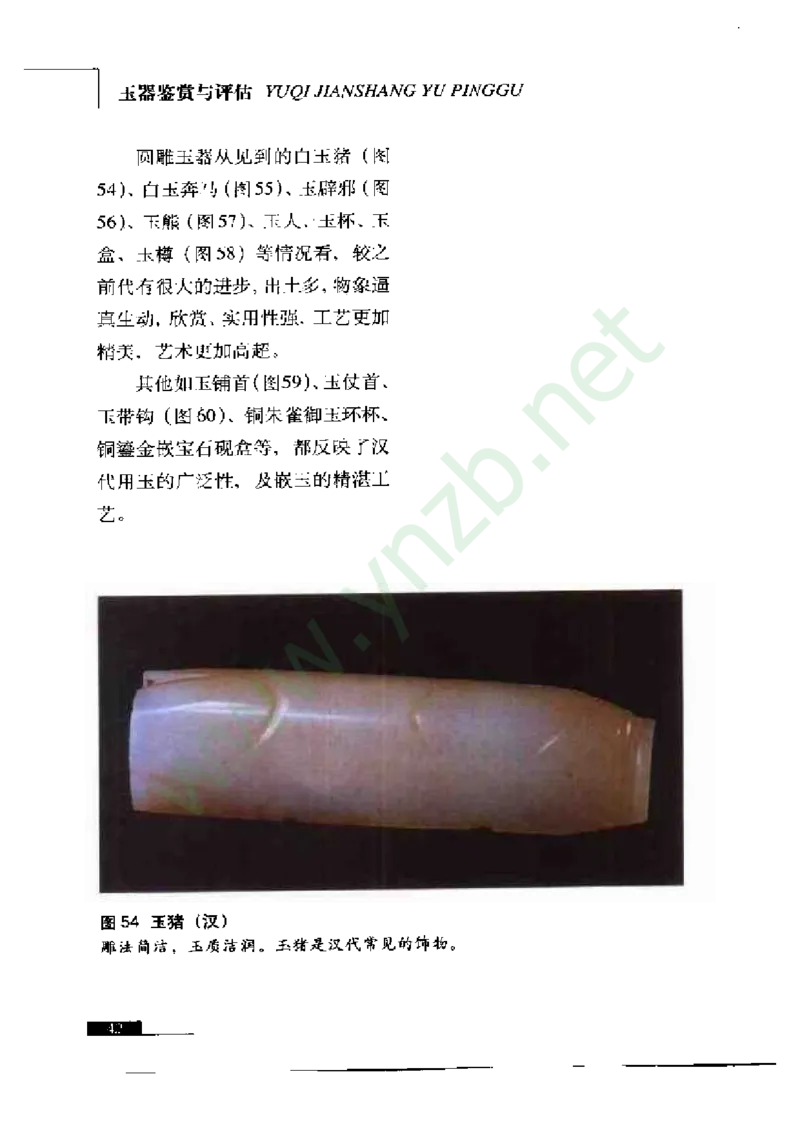 珠宝玉石鉴赏珍藏版_X018-玉石珠宝鉴定教程最新合集_5、玉石鉴定专题全套课程_玉石电子书_玉石电子书