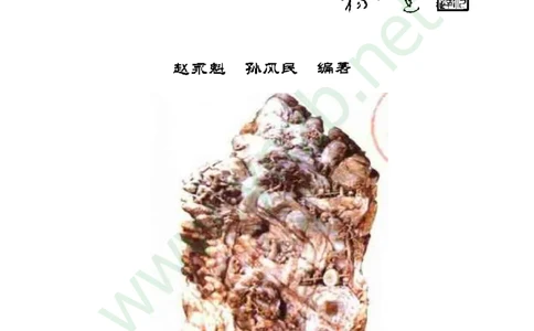 珠宝玉石鉴赏珍藏版_X018-玉石珠宝鉴定教程最新合集_5、玉石鉴定专题全套课程_玉石电子书_玉石电子书