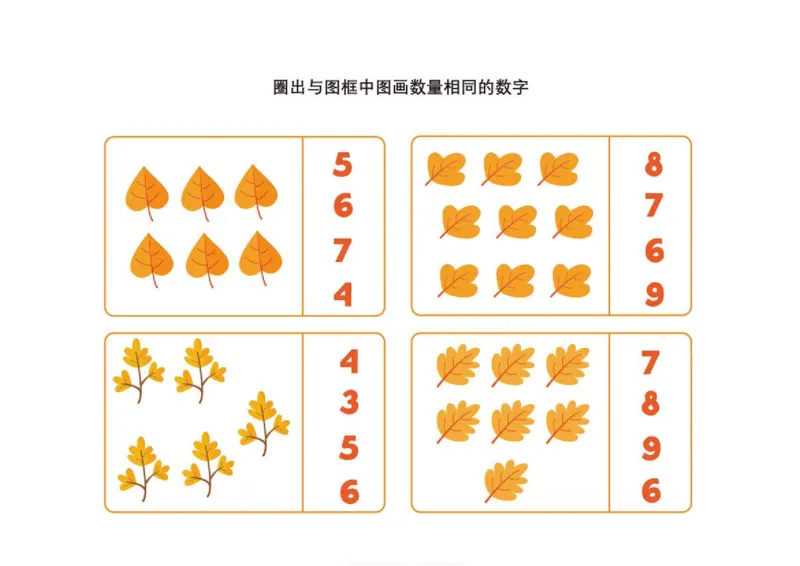 6.物数对应_幼小语数英专项资料_幼小数学专项