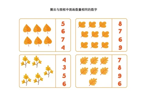 6.物数对应_幼小语数英专项资料_幼小数学专项