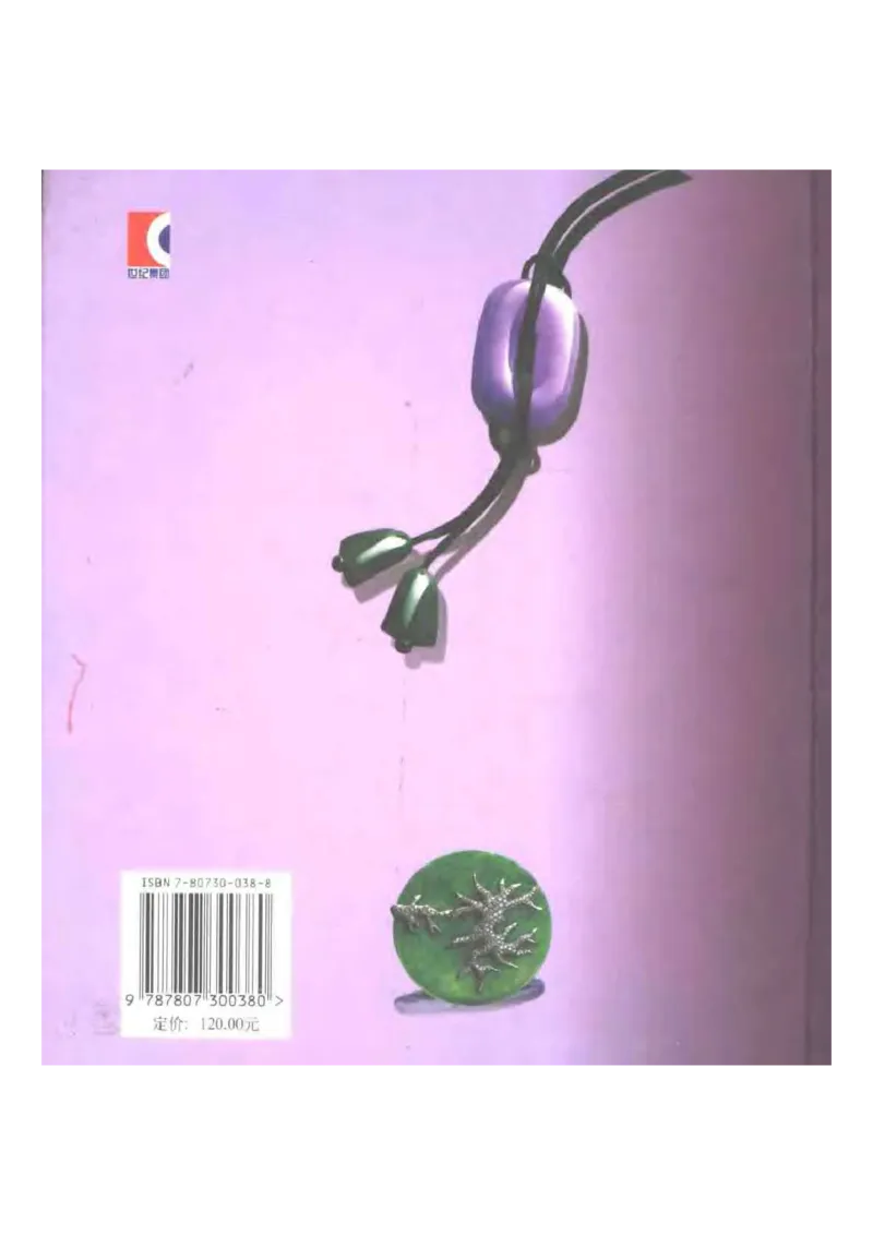 秋眉翡翠-1_X018-玉石珠宝鉴定教程最新合集_6、翡翠鉴定专题全套课程_翡翠电子书_秋眉翡翠