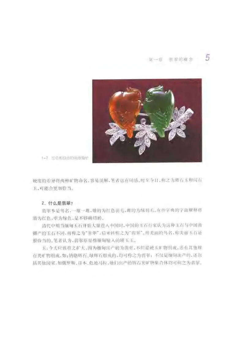 秋眉翡翠-1_X018-玉石珠宝鉴定教程最新合集_6、翡翠鉴定专题全套课程_翡翠电子书_秋眉翡翠