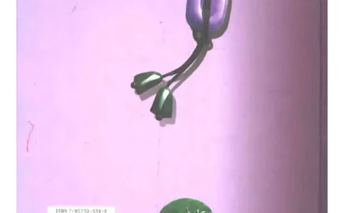 秋眉翡翠-1_X018-玉石珠宝鉴定教程最新合集_6、翡翠鉴定专题全套课程_翡翠电子书_秋眉翡翠