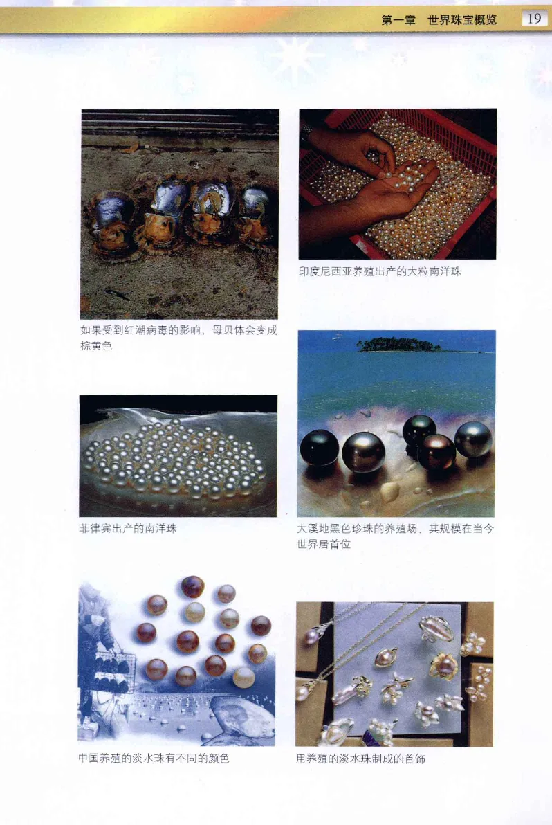 珠宝玉石鉴定与市场_12256089_X018-玉石珠宝鉴定教程最新合集_4、珠宝玉石鉴定投资手册合集