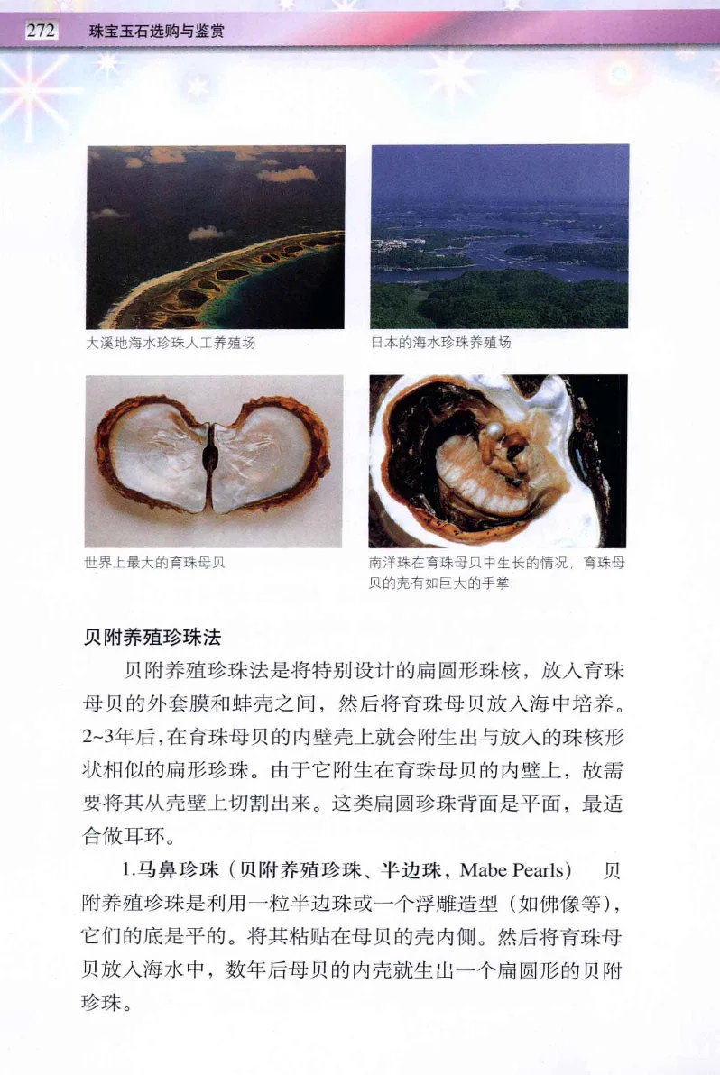 珠宝玉石鉴定与市场_12256089_X018-玉石珠宝鉴定教程最新合集_4、珠宝玉石鉴定投资手册合集