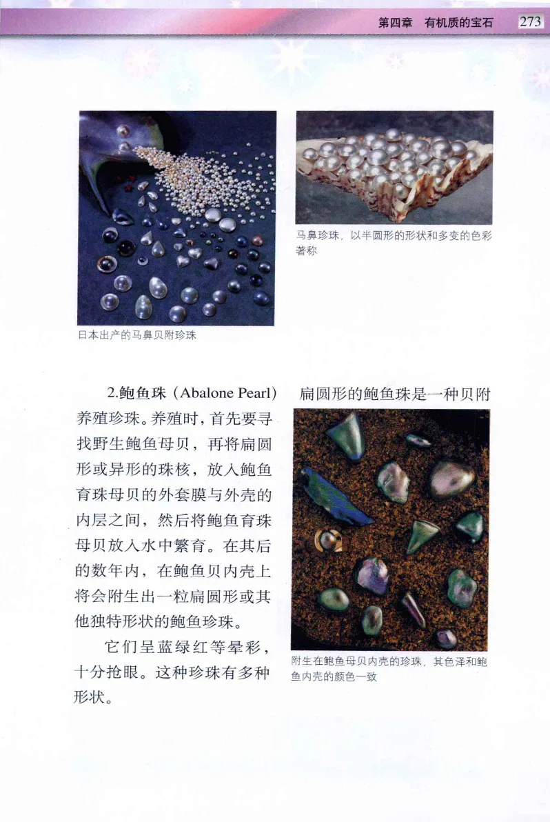 珠宝玉石鉴定与市场_12256089_X018-玉石珠宝鉴定教程最新合集_4、珠宝玉石鉴定投资手册合集