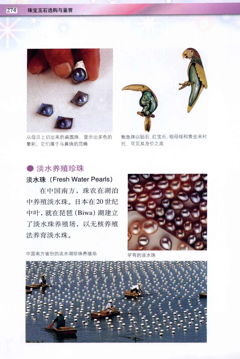 珠宝玉石鉴定与市场_12256089_X018-玉石珠宝鉴定教程最新合集_4、珠宝玉石鉴定投资手册合集