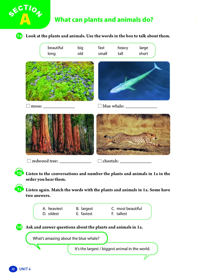 2025秋新人教版八年级上_初中英语新版_最新人教版英语八年级上册_新版_初中英语8上新更新第三套可选择_07课堂笔记_原文PDF