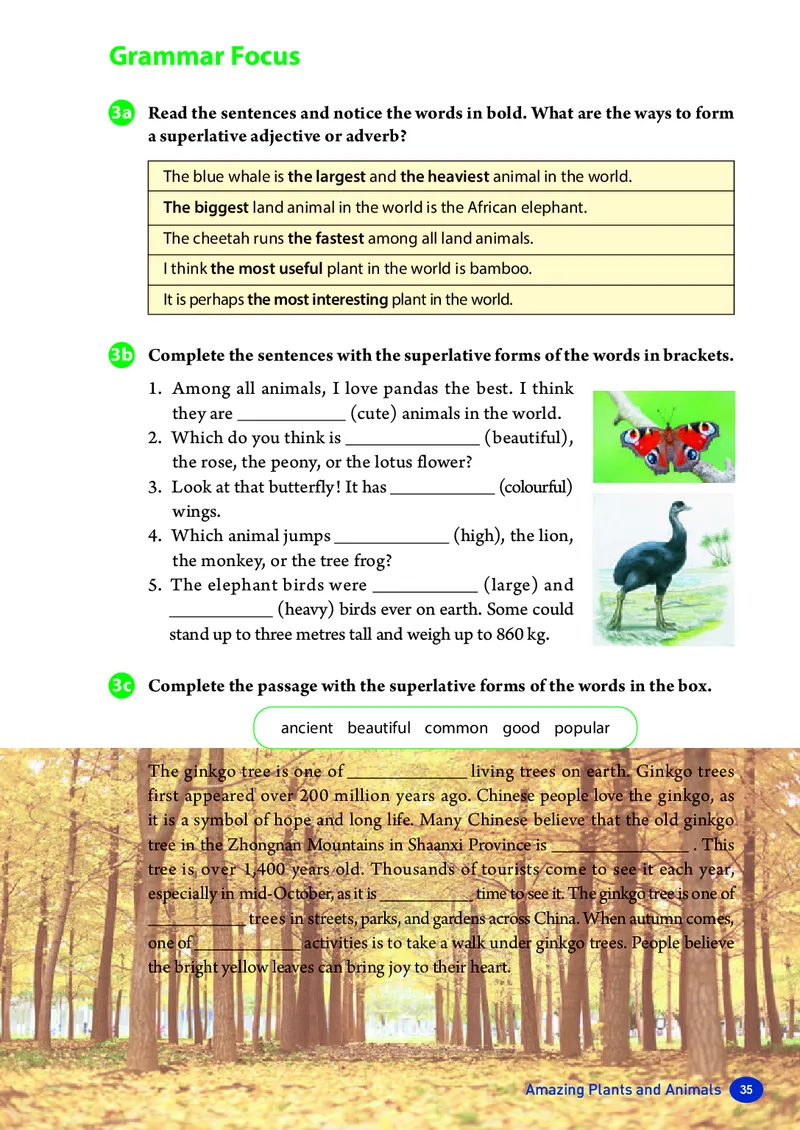 2025秋新人教版八年级上_初中英语新版_最新人教版英语八年级上册_新版_初中英语8上新更新第三套可选择_07课堂笔记_原文PDF