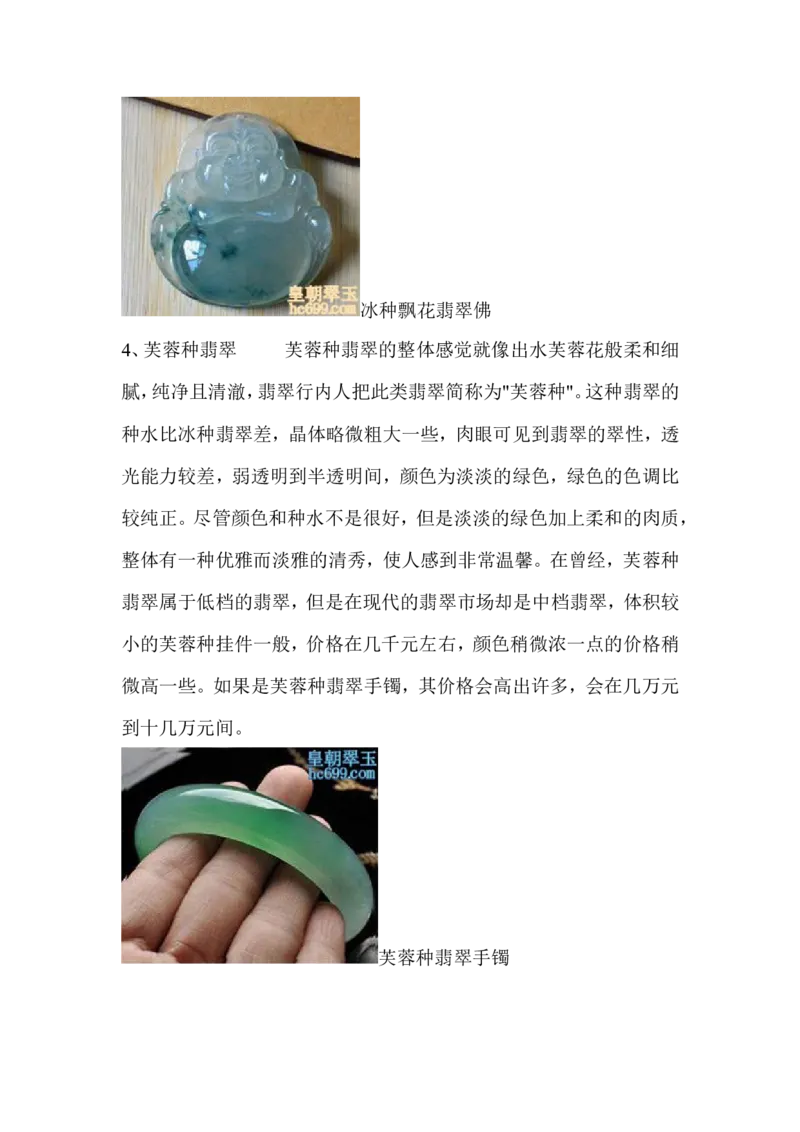 翡翠大致分类_X018-玉石珠宝鉴定教程最新合集_8、玉石翡翠鉴定与投资电子资料_赌石专题