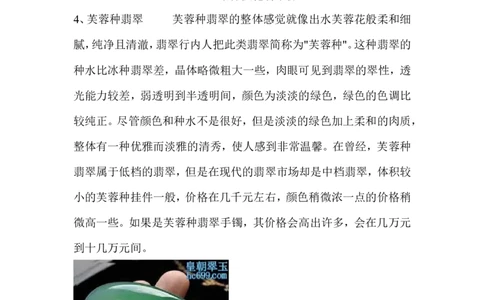 翡翠大致分类_X018-玉石珠宝鉴定教程最新合集_8、玉石翡翠鉴定与投资电子资料_赌石专题