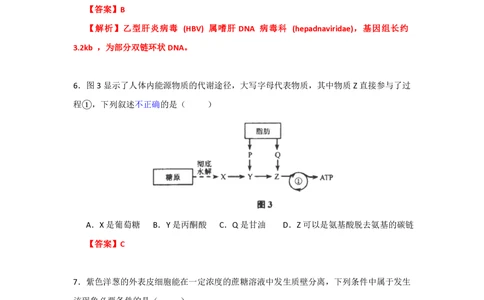 2013年高考生物试卷（上海）（解析卷）_生物历年高考真题_新&middot;PDF版2008-2025&middot;高考生物真题_生物（按试卷类型分类）2008-2025_自主命题卷&middot;生物（2008-2025）_上海自主命题&middot;生物（2008-2022）