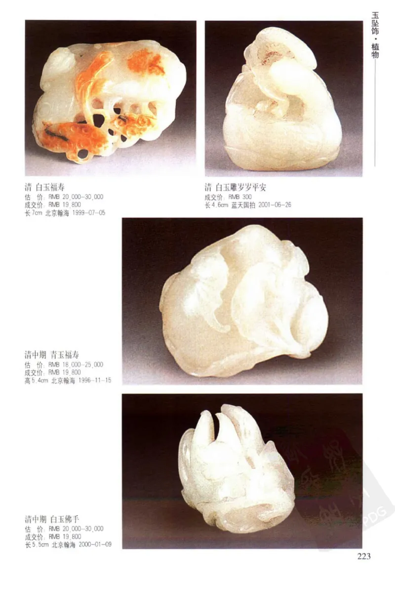 玉器挂件_X018-玉石珠宝鉴定教程最新合集_8、玉石翡翠鉴定与投资电子资料