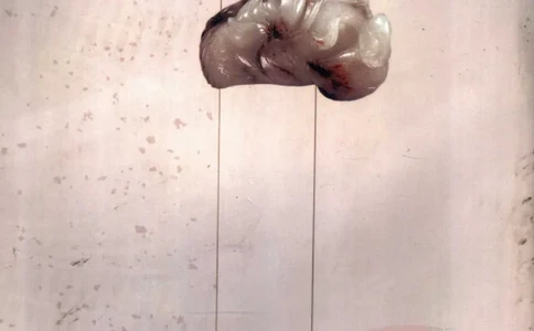 玉器挂件_X018-玉石珠宝鉴定教程最新合集_8、玉石翡翠鉴定与投资电子资料