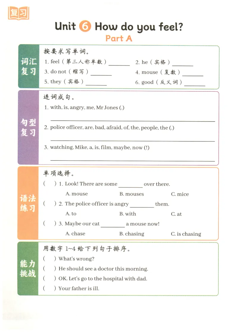 25秋英语课堂笔记人教pep版-6年级上册-预习复习单_25秋英语课堂笔记人教pep版-6年级上册
