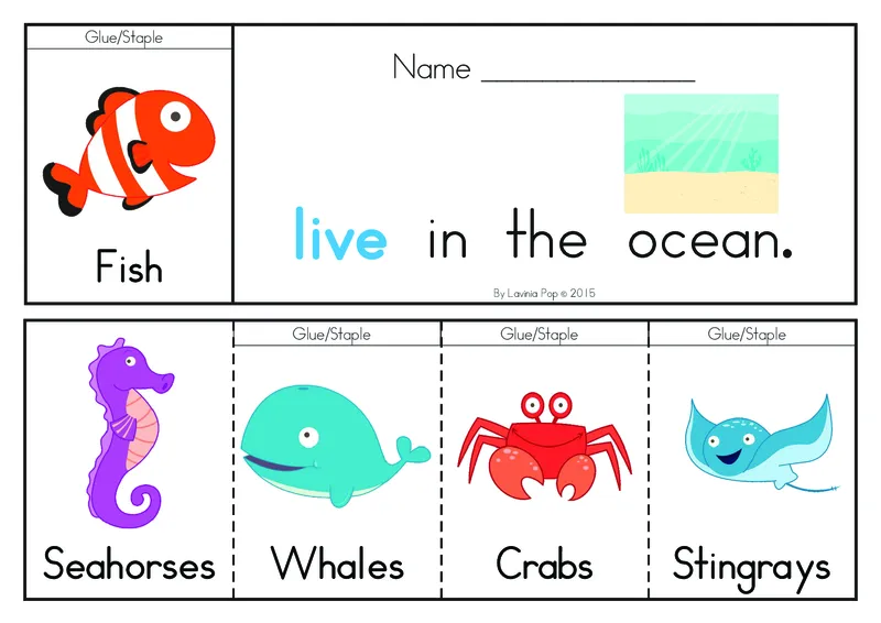 FlipBooks-Grade1AUS_幼小衔接全套_幼小衔接资料大全_幼小衔接资料1️⃣_017高频词翻翻卡500页_高频词翻翻卡文档500页