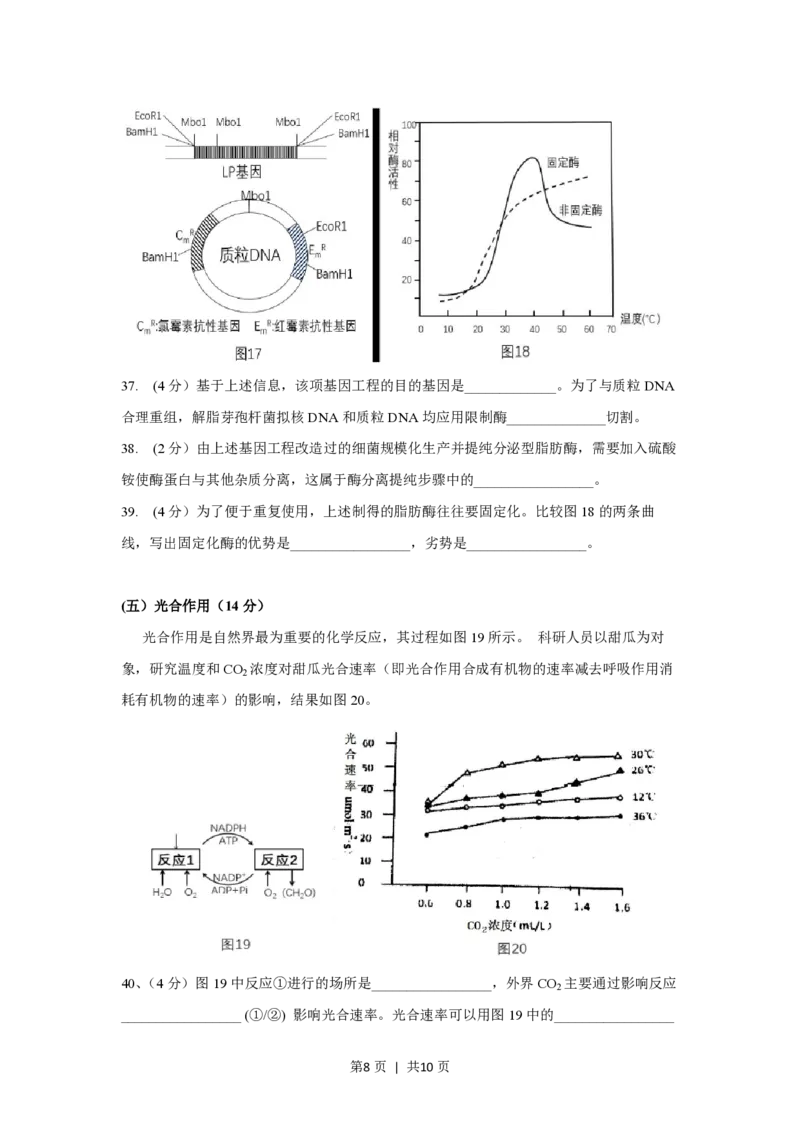 2017年高考生物试卷（上海）（空白卷）_生物历年高考真题_新&middot;PDF版2008-2025&middot;高考生物真题_生物（按年份分类）2008-2025_2017&middot;高考生物真题