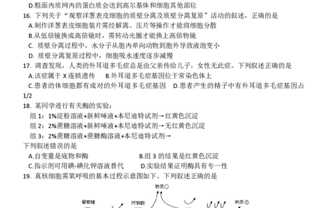 2016年高考生物试卷（浙江）（10月）（空白卷）_生物历年高考真题_新&middot;PDF版2008-2025&middot;高考生物真题_生物（按省份分类）2008-2025_2008-2025&middot;（浙江）生物高考真题