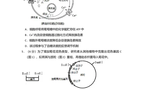 2017年高考生物试卷（北京）（空白卷）_生物历年高考真题_新&middot;Word版2008-2025&middot;高考生物真题_生物（按年份分类）2008-2025_2017&middot;高考生物真题