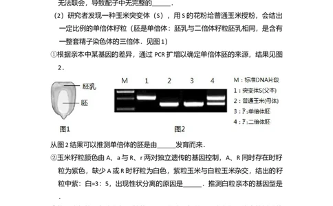 2017年高考生物试卷（北京）（空白卷）_生物历年高考真题_新&middot;Word版2008-2025&middot;高考生物真题_生物（按年份分类）2008-2025_2017&middot;高考生物真题