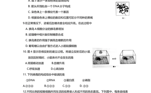 2016年高考生物试卷（上海）（空白卷）_生物历年高考真题_新&middot;Word版2008-2025&middot;高考生物真题_生物（按年份分类）2008-2025_2016&middot;高考生物真题