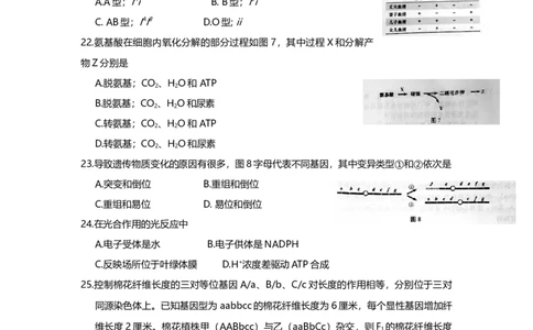 2016年高考生物试卷（上海）（空白卷）_生物历年高考真题_新&middot;Word版2008-2025&middot;高考生物真题_生物（按年份分类）2008-2025_2016&middot;高考生物真题