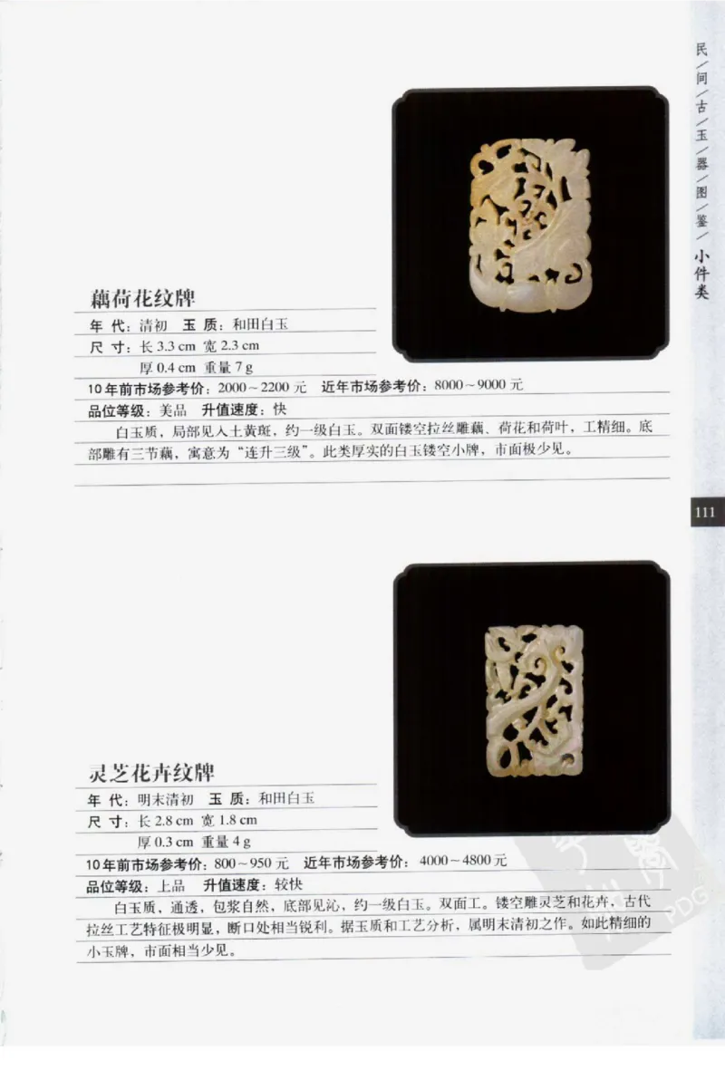 民间古玉器图鉴小件类_X018-玉石珠宝鉴定教程最新合集_8、玉石翡翠鉴定与投资电子资料