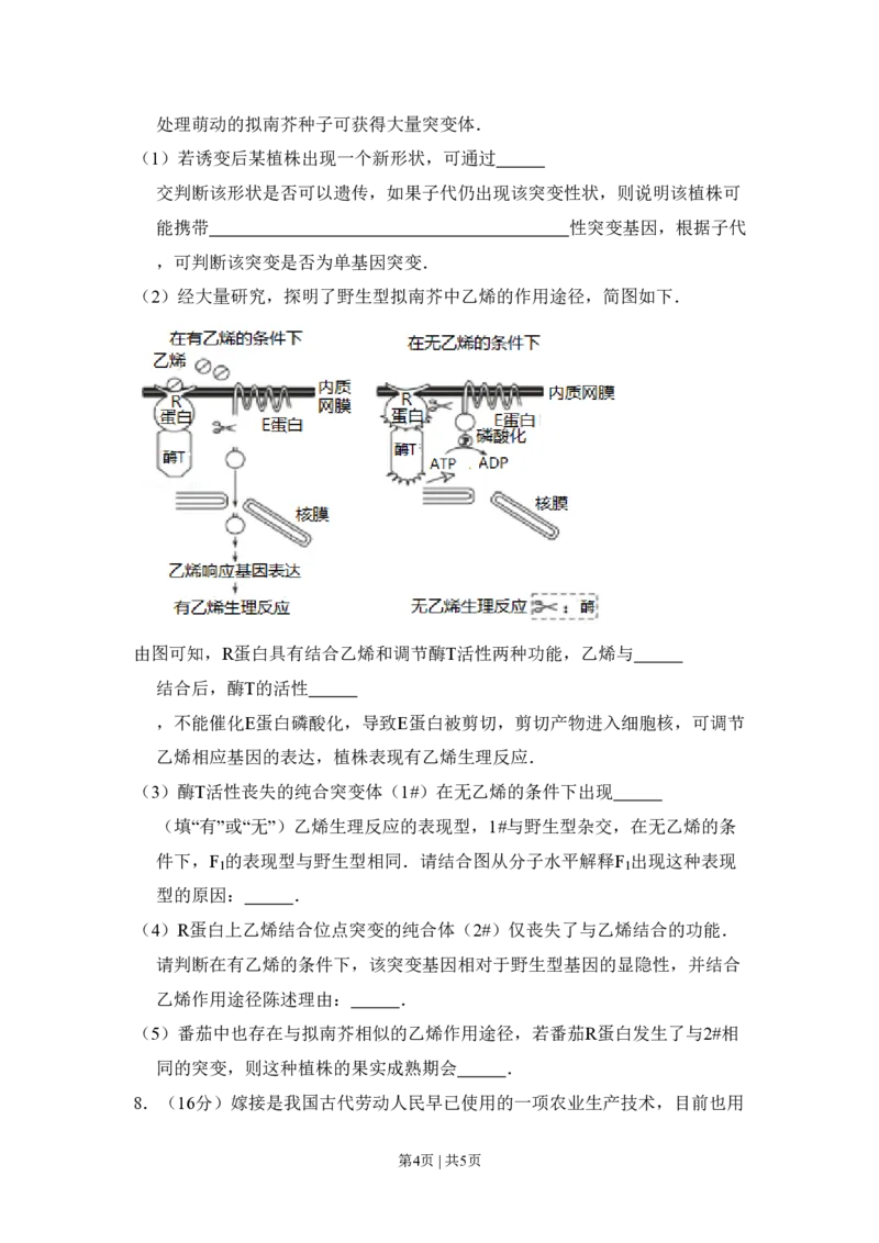 2016年高考生物试卷（北京）（空白卷）_生物历年高考真题_新&middot;PDF版2008-2025&middot;高考生物真题_生物（按省份分类）2008-2025_2008-2025&middot;（北京）生物高考真题