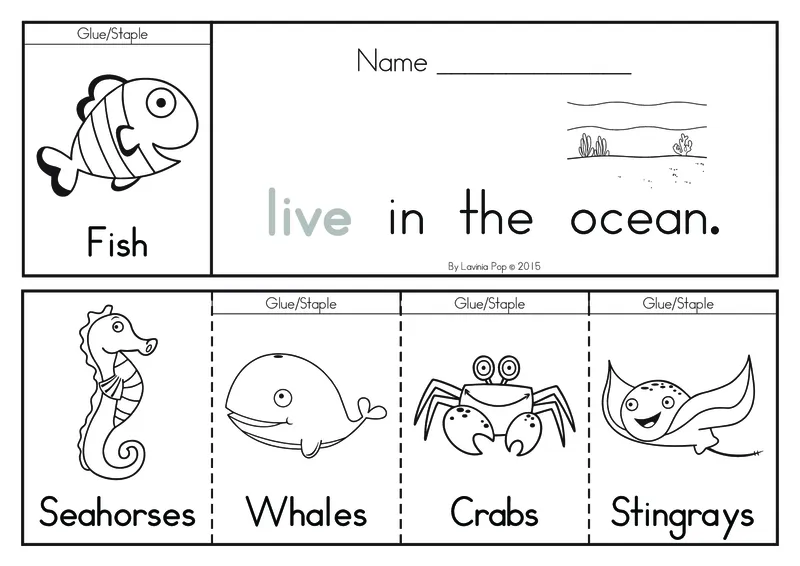 FlipBooks-Grade1135P_幼小衔接全套_幼小衔接资料大全_幼小衔接资料1️⃣_017高频词翻翻卡500页_高频词翻翻卡文档500页